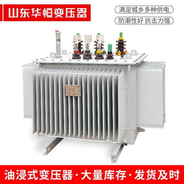 S13-10000/35阳江阳江阳江电力变压器